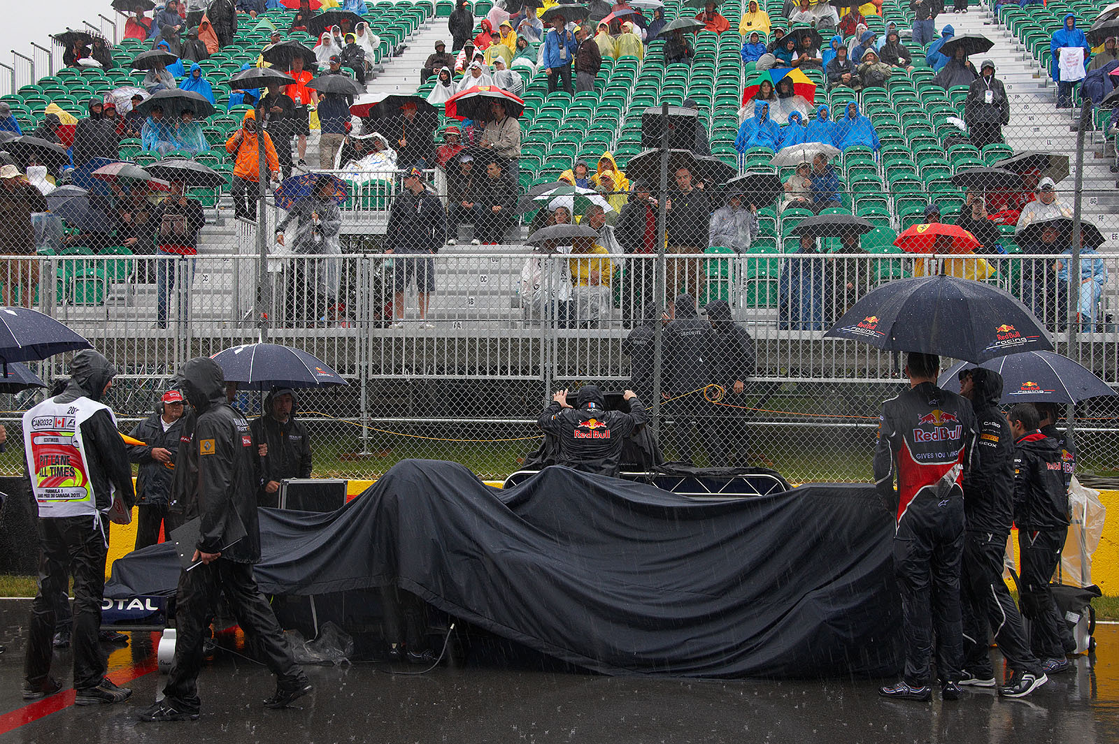 Dark sheets cover the Red Bull-Renault on the grid