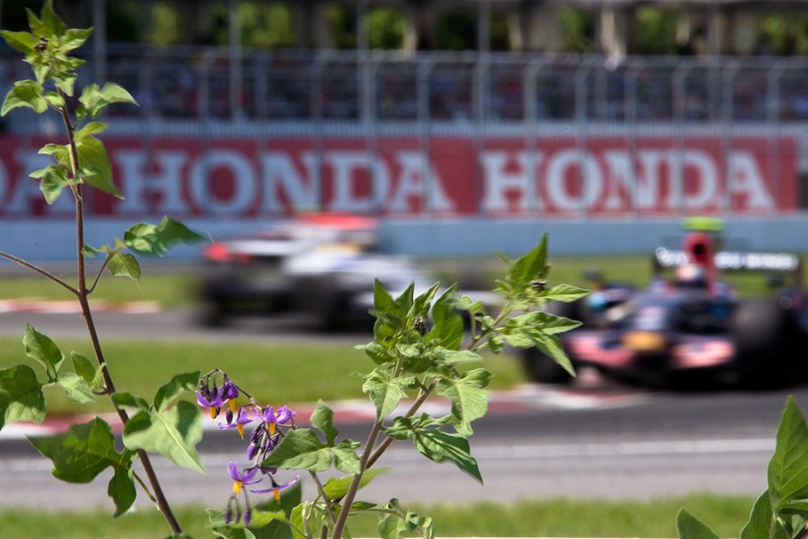 Beautiful nature surrounds the racetrack