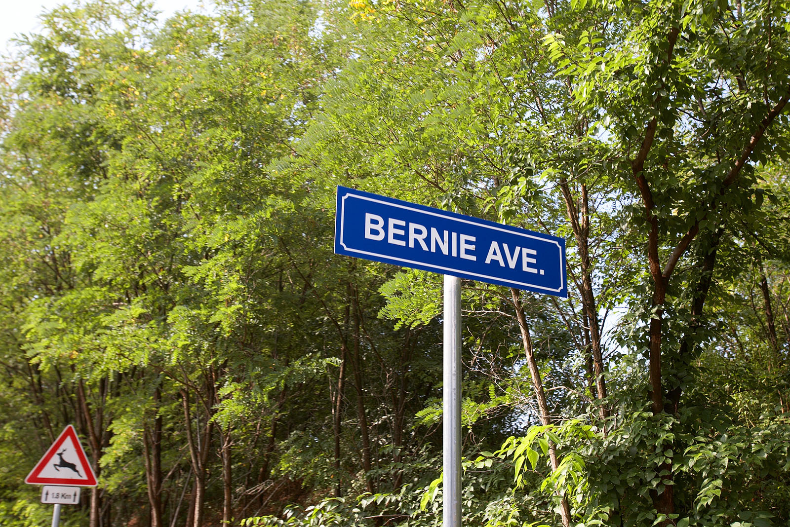 'Bernie Avenue' leads directly to the track