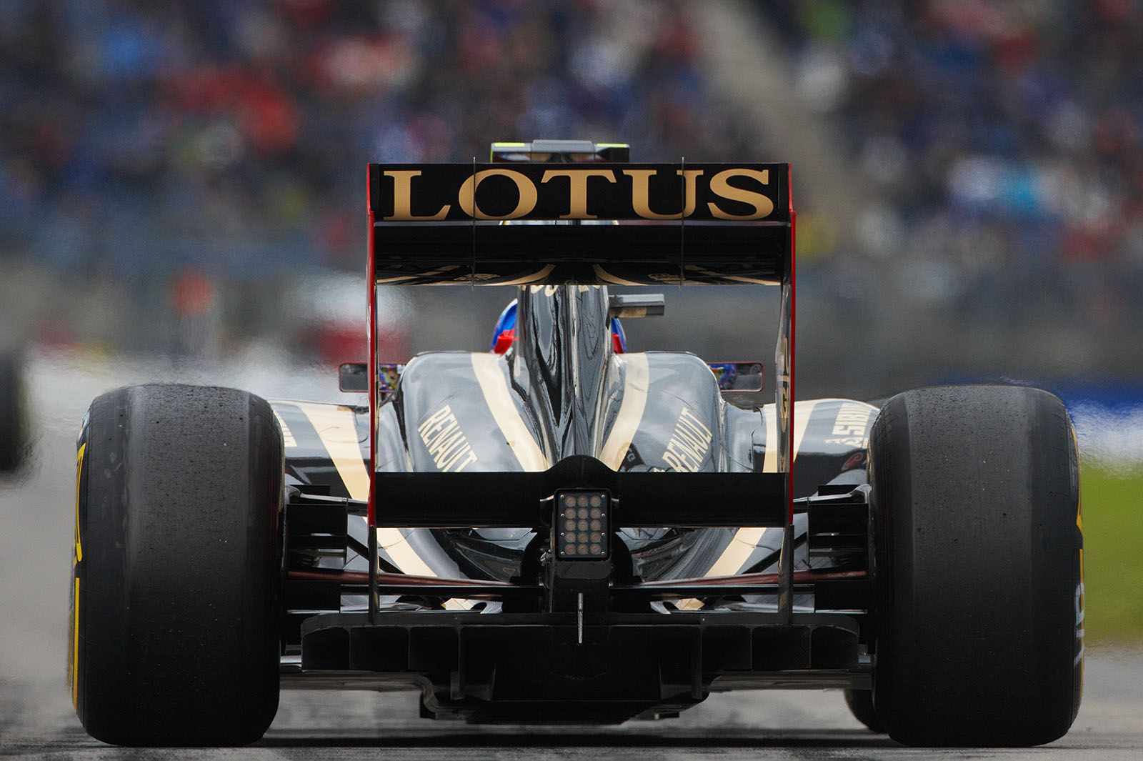 Vitaly Petrov, Lotus Renault GP