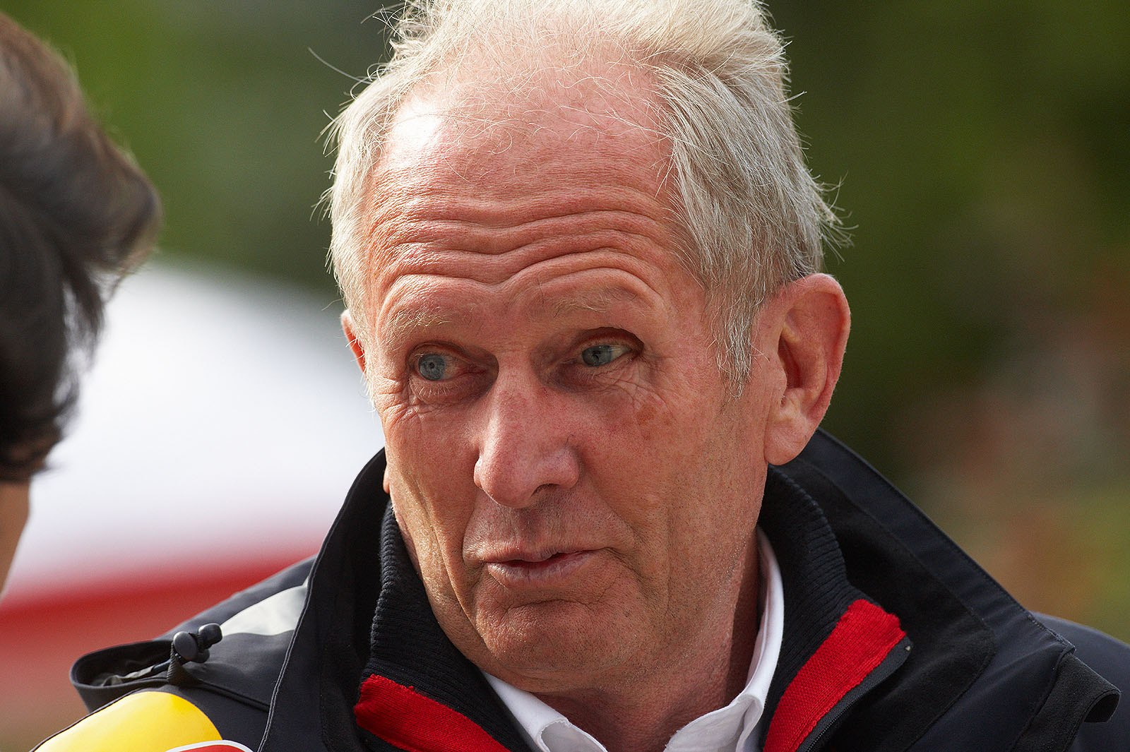 Red Bull advisor Dr. Helmut Marko