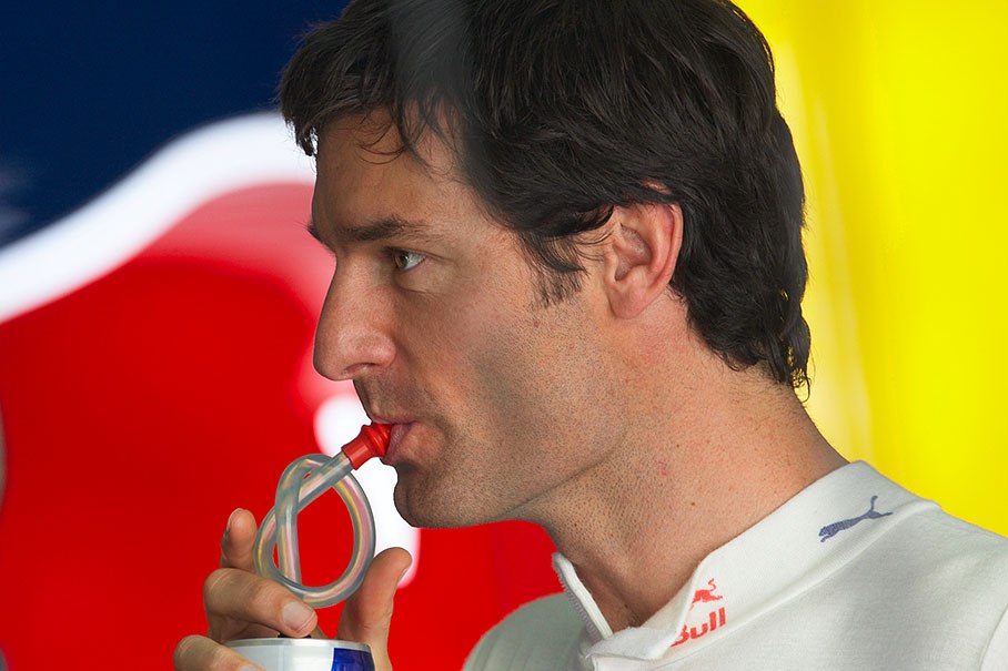 Mark Webber in Red Bull pits