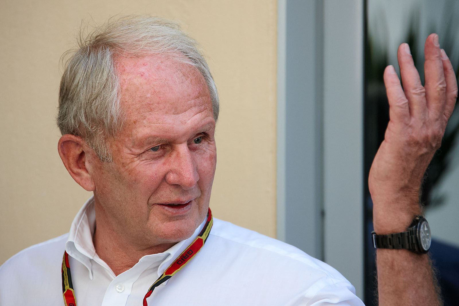 Helmut Marko from Red Bull