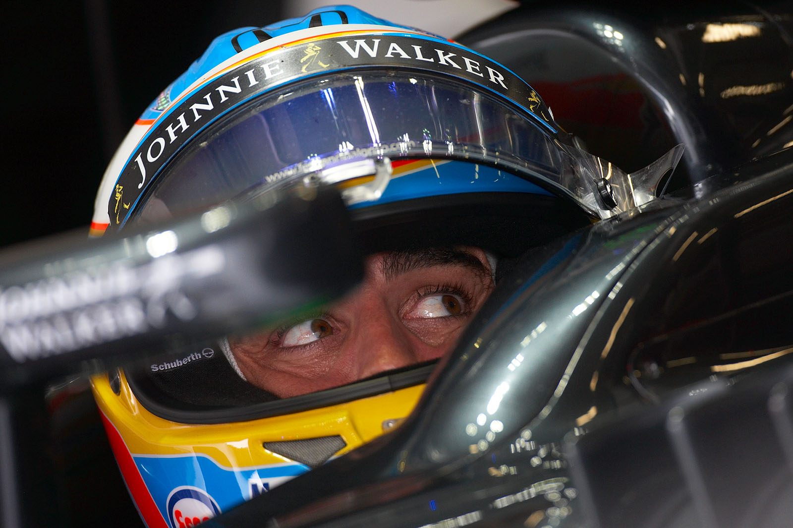 Fernando Alonso, McLaren-Honda driver